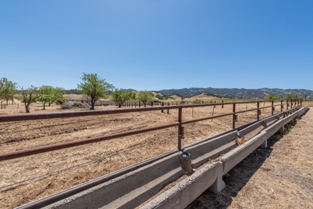 Equestrian Ranch with Country Home for Sale in Yolo County - image 43