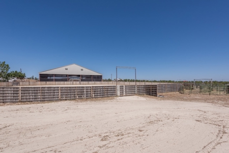 Equestrian Ranch with Country Home for Sale in Yolo County - image 40