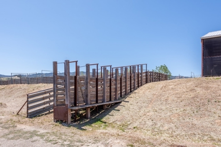 Equestrian Ranch with Country Home for Sale in Yolo County - image 42