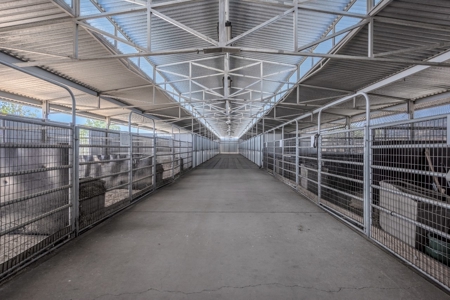Equestrian Ranch with Country Home for Sale in Yolo County - image 9