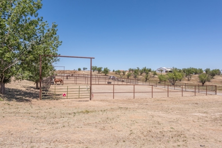 Equestrian Ranch with Country Home for Sale in Yolo County - image 41