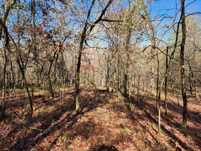 Country Acreage For Sale - Little River Frontage - image 18