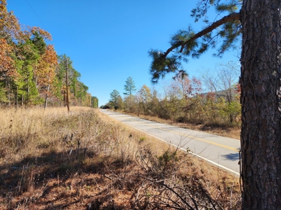 Country Acreage For Sale - Little River Frontage - image 21