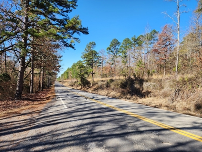 Country Acreage For Sale - Little River Frontage - image 2