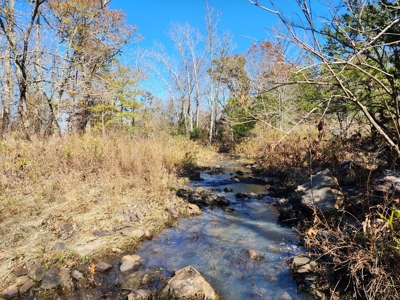 Country Acreage For Sale - Little River Frontage - image 7