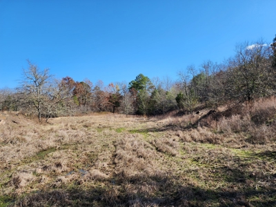 Country Acreage For Sale - Little River Frontage - image 11