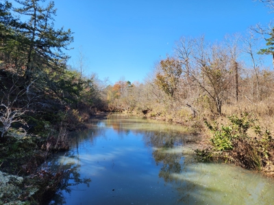 Country Acreage For Sale - Little River Frontage - image 10
