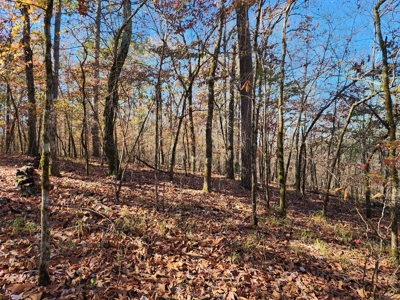 Country Acreage For Sale - Little River Frontage - image 17