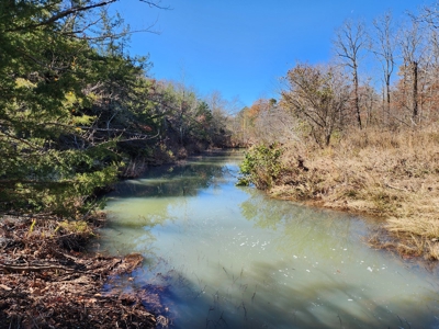 Country Acreage For Sale - Little River Frontage - image 6