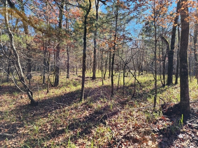 Country Acreage For Sale - Little River Frontage - image 16