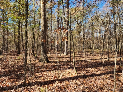 Country Acreage For Sale - Little River Frontage - image 19