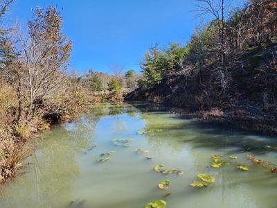 Country Acreage For Sale - Little River Frontage - image 12