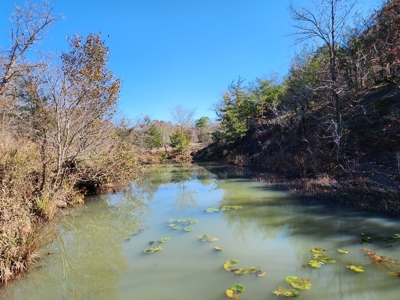 Country Acreage For Sale - Little River Frontage - image 14