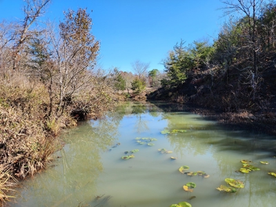 Country Acreage For Sale - Little River Frontage - image 13