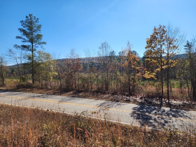 Country Acreage For Sale - Little River Frontage - image 20