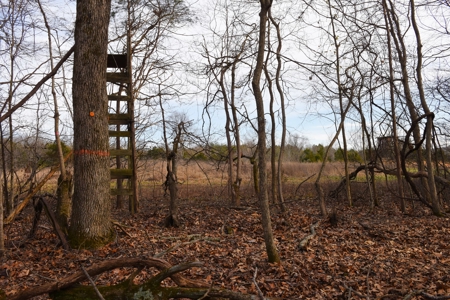 Great Hunting, 2 Creeks, Big Timber, Home Sites w. Utilities - image 26