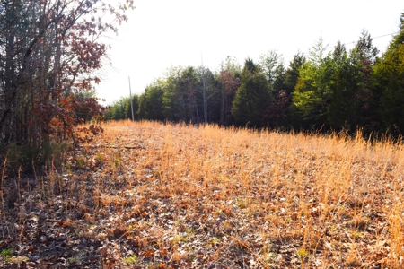 Great Hunting, 2 Creeks, Big Timber, Home Sites w. Utilities - image 12