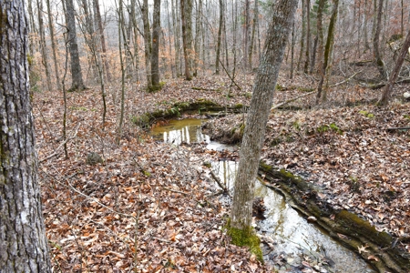 Great Hunting, 2 Creeks, Big Timber, Home Sites w. Utilities - image 33