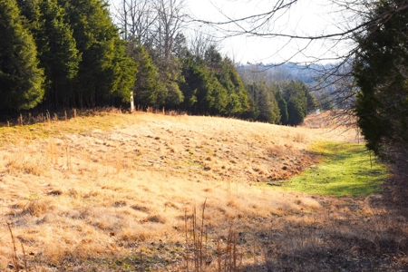 Great Hunting, 2 Creeks, Big Timber, Home Sites w. Utilities - image 6