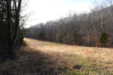 Great Hunting, 2 Creeks, Big Timber, Home Sites w. Utilities - image 13