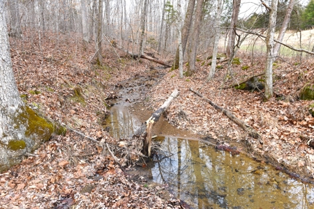 Great Hunting, 2 Creeks, Big Timber, Home Sites w. Utilities - image 37