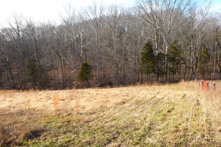 Great Hunting, 2 Creeks, Big Timber, Home Sites w. Utilities - image 14