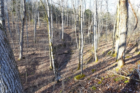 Great Hunting, 2 Creeks, Big Timber, Home Sites w. Utilities - image 5