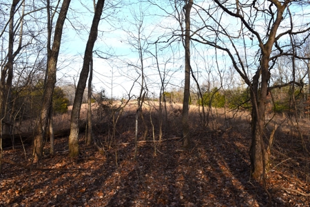 Great Hunting, 2 Creeks, Big Timber, Home Sites w. Utilities - image 20