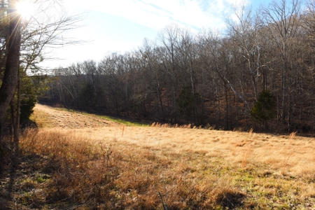 Great Hunting, 2 Creeks, Big Timber, Home Sites w. Utilities - image 4