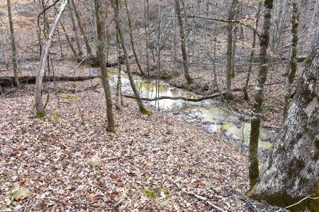 Great Hunting, 2 Creeks, Big Timber, Home Sites w. Utilities - image 36