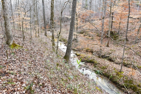 Great Hunting, 2 Creeks, Big Timber, Home Sites w. Utilities - image 35