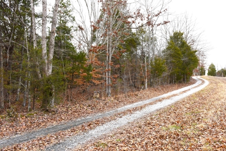 Great Hunting, 2 Creeks, Big Timber, Home Sites w. Utilities - image 42