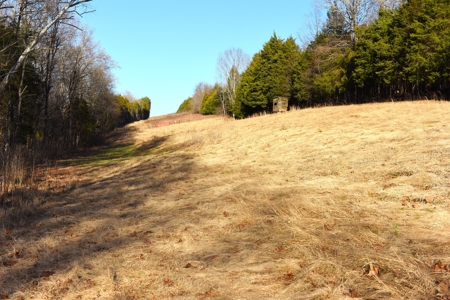 Great Hunting, 2 Creeks, Big Timber, Home Sites w. Utilities - image 10