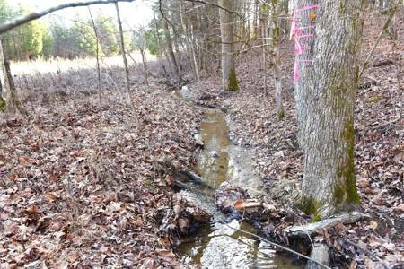 Great Hunting, 2 Creeks, Big Timber, Home Sites w. Utilities - image 9