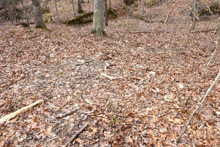 Great Hunting, 2 Creeks, Big Timber, Home Sites w. Utilities - image 32