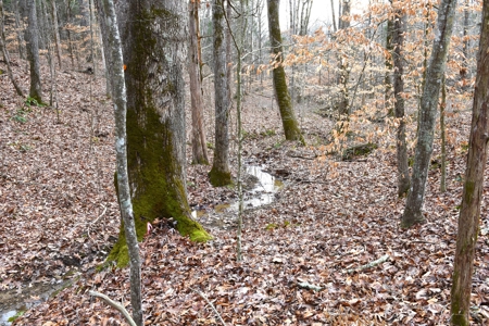 Great Hunting, 2 Creeks, Big Timber, Home Sites w. Utilities - image 31