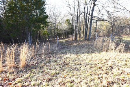 Great Hunting, 2 Creeks, Big Timber, Home Sites w. Utilities - image 2