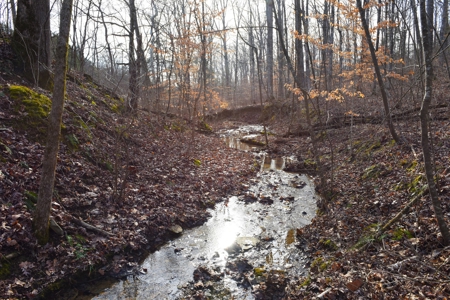 Great Hunting, 2 Creeks, Big Timber, Home Sites w. Utilities - image 15