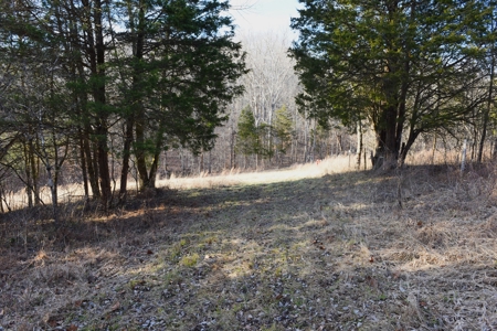 Great Hunting, 2 Creeks, Big Timber, Home Sites w. Utilities - image 3