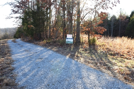 Great Hunting, 2 Creeks, Big Timber, Home Sites w. Utilities - image 1