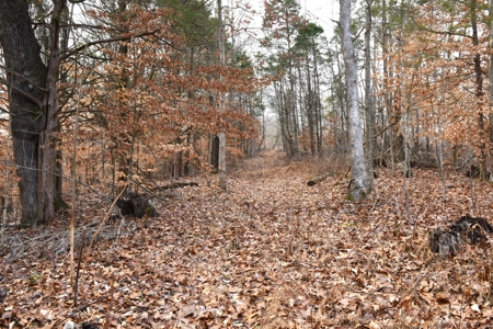 Great Hunting, 2 Creeks, Big Timber, Home Sites w. Utilities - image 27