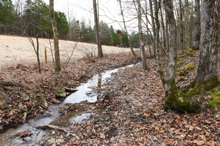 Great Hunting, 2 Creeks, Big Timber, Home Sites w. Utilities - image 38