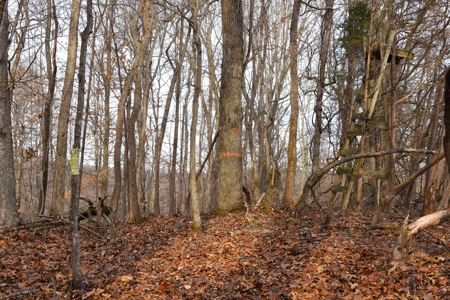 Great Hunting, 2 Creeks, Big Timber, Home Sites w. Utilities - image 25