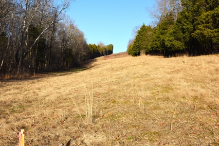 Great Hunting, 2 Creeks, Big Timber, Home Sites w. Utilities - image 7