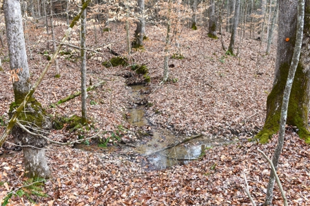 Great Hunting, 2 Creeks, Big Timber, Home Sites w. Utilities - image 30