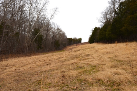 Great Hunting, 2 Creeks, Big Timber, Home Sites w. Utilities - image 41