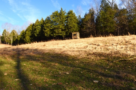 Great Hunting, 2 Creeks, Big Timber, Home Sites w. Utilities - image 11