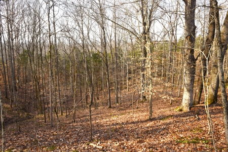 Great Hunting, 2 Creeks, Big Timber, Home Sites w. Utilities - image 22