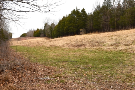 Great Hunting, 2 Creeks, Big Timber, Home Sites w. Utilities - image 39