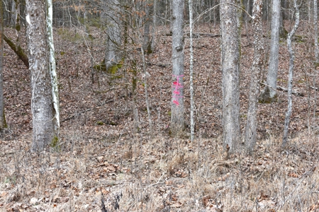 Great Hunting, 2 Creeks, Big Timber, Home Sites w. Utilities - image 40